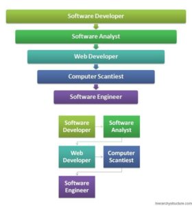 Different career paths that affect the income of programmers